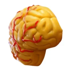 The Purple Cow The Human Body Advent Calendar: Educational Paper & Cardboard Winter Display -Christmas Gifts Store GUEST 334b6587 e5ad 4f3d 8dc8 b1a9e1e5d55b