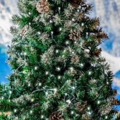 Novelty Lights 50 Feet Long, 100 Mini Black Wire Christmas Lights, End To End Connectable, UL Listed For Indoor/Outdoor Use -Christmas Gifts Store GUEST 3ef8b992 09ad 423d b85d 26486a177d42