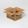 5"x4.75" Bullseye Delivery Truck Christmas Gift Box - Wondershop™ -Christmas Gifts Store GUEST 6b43c54a 8f0a 4eb2 bd3a 383d7c5b089c