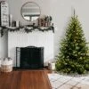 6' Unlit Kincaid Spruce Artificial Christmas Tree Clear Lights - National Tree Company -Christmas Gifts Store GUEST a31b8672 c1a8 4f3a bd04 6987fe5c1144