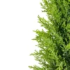 Northlight 1.4 FT Upswept Frosted Cedar Artificial Christmas Tree - Unlit -Christmas Gifts Store GUEST f6121c80 3b47 481f ac22 01731b768b5c
