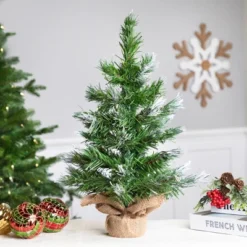 Northlight Whitecap Pine Artificial Mini Christmas Tree - 18" - Unlit